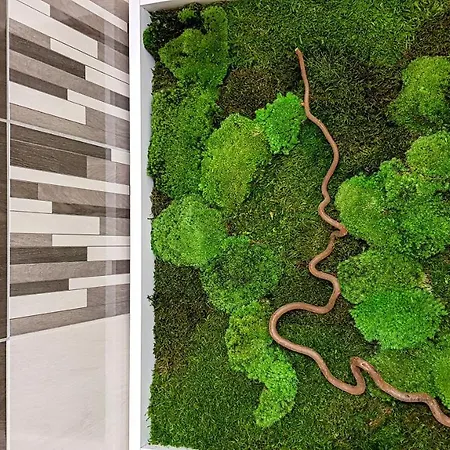 Liana Hrebienok C106 Vysoké Tatry