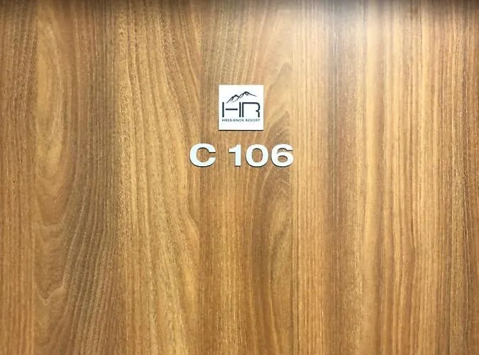 Апартаменты Liana Hrebienok C106