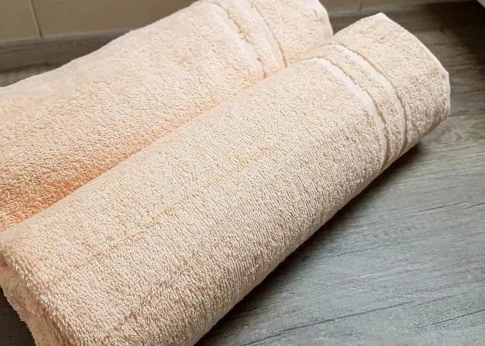 Апартаменты Liana Hrebienok C106