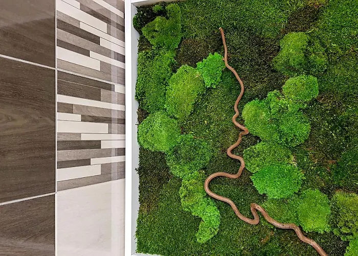 Liana Hrebienok C106 Високе-Татри