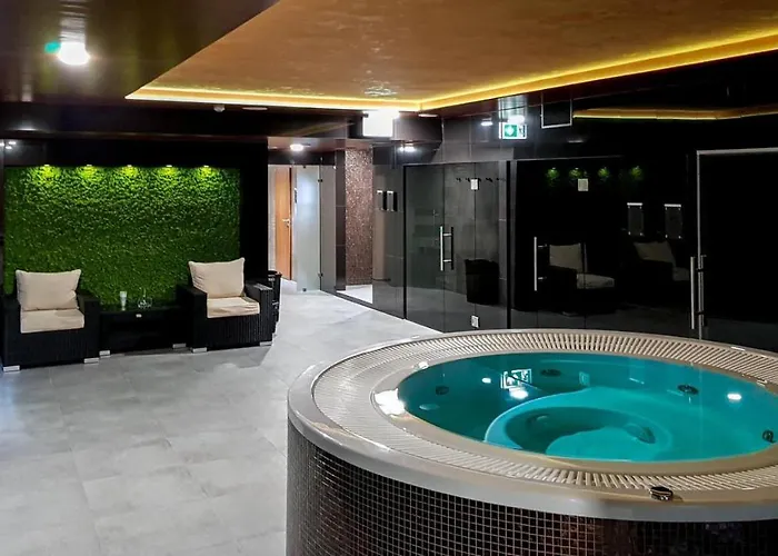 Апартаменты Liana Hrebienok C106 *